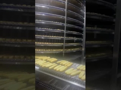 China Youtiao máquina de formación de palos fritos para hacer Youtiao congelado