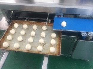 Sensor Kaya Bun Bread Production Line 380V de Panasonic automática